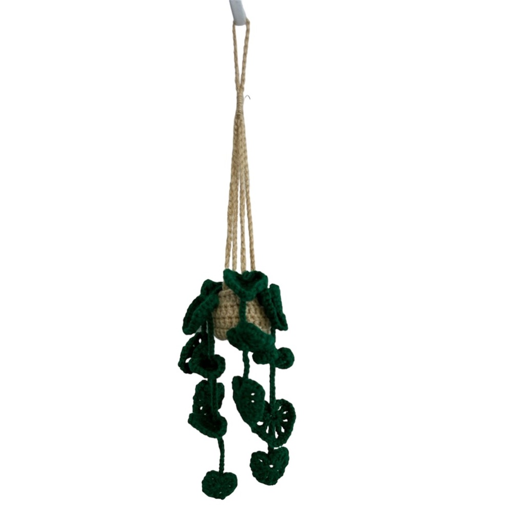 Crochet hanging‎ pothos plant in pot decor NEW